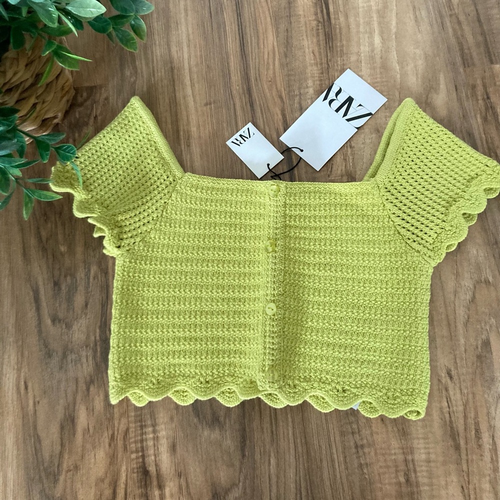 Zara crop top